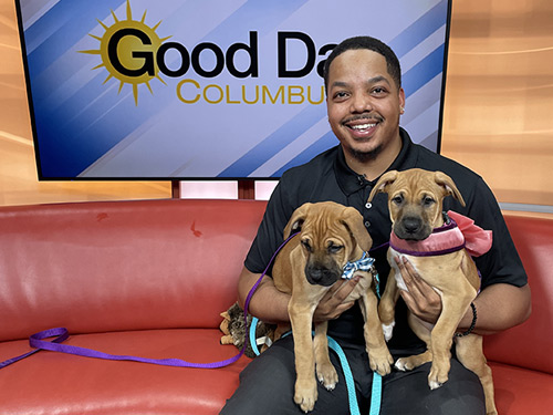Franklin County Animal Care and Control